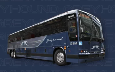 Greyhound atinge +60% de aumento nas vendas online em menos de 2 anos.
