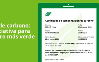 Un eCommerce que permite a tus viajeros compensar la huella de carbono
